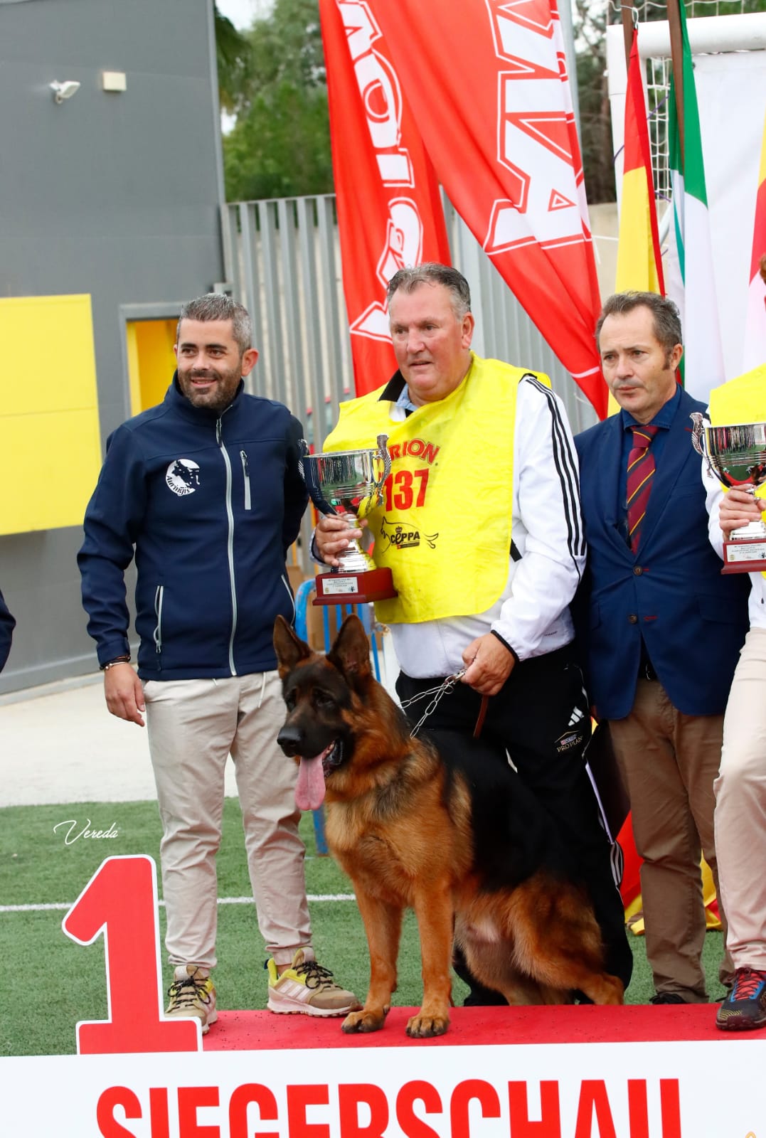 WACRON DE AURINGIS, Campeón SG11 BSZS, SPAIN SIEGER JHKL-R