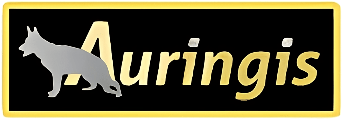 logo auringis