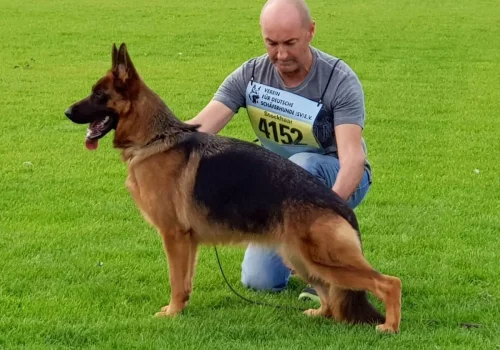 Giuly di Casa Massarelli