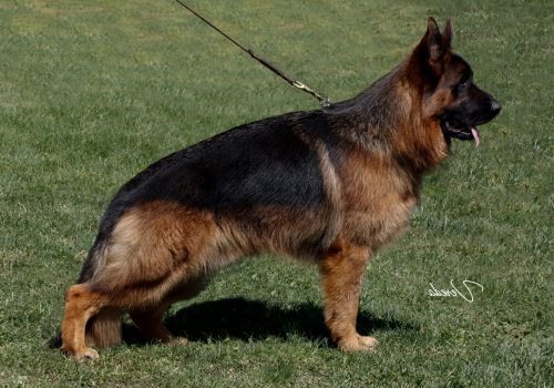 Imagen de WhatsApp 2025-06-03 a las 15.31.12_6e193dac Imagen de WhatsApp 2025-06-03 a las 15.31.12_6e193dac